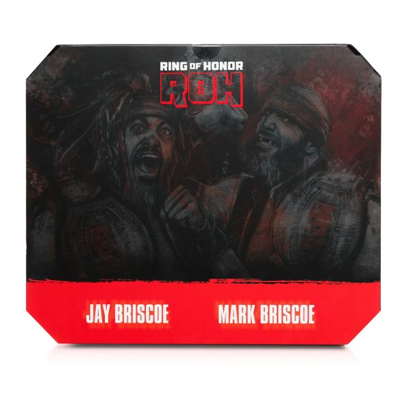 AEW0566-AEW-ROH-Briscoe-Brother-VAULT-DTC-IP-Back-lpr