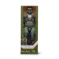 HLW0025-Halo-00001-2000px