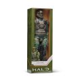 HLW0025-Halo-00002-2000px