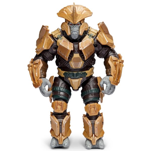 Halo7