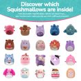 Mystery_Pack_-_5_inch_Squishmallows