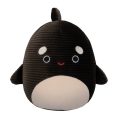 SQCR03872-Front-lpr