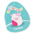 SQCR05567SQK-Squishmallows-20InchJumboPlush-Caedyn-PinkSpottedCowWClosedEyes-OP-Tag-lpr
