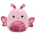 SQCR05828-OP-Front-lpr