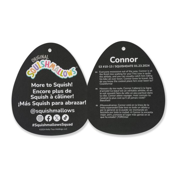 SQCR06403-Connor-Tag2-lpr