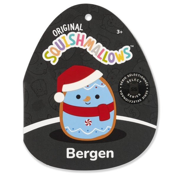 SQCR06418-Bergen-Tag_lpr