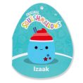 SQCR08369_12inIzaakBlueSlushywithStarEmbroidery_TF_lpr