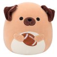 SQCR08370_14inDarylBrownDogHoldingFootball_OPF_lpr_0d4415c6-67f5-4088-86b7-37940cde568c