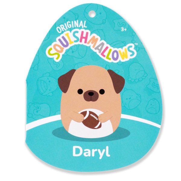 SQCR08370_14inDarylBrownDogHoldingFootball_TF_lpr