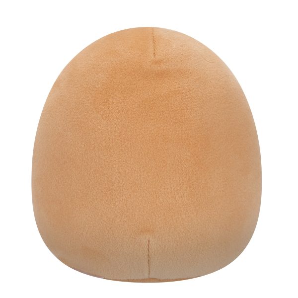 SQHW00954-OP-Back-lpr
