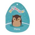 SQK2867-14in-Squishmallows-Hanz-Core-Tag_lpr