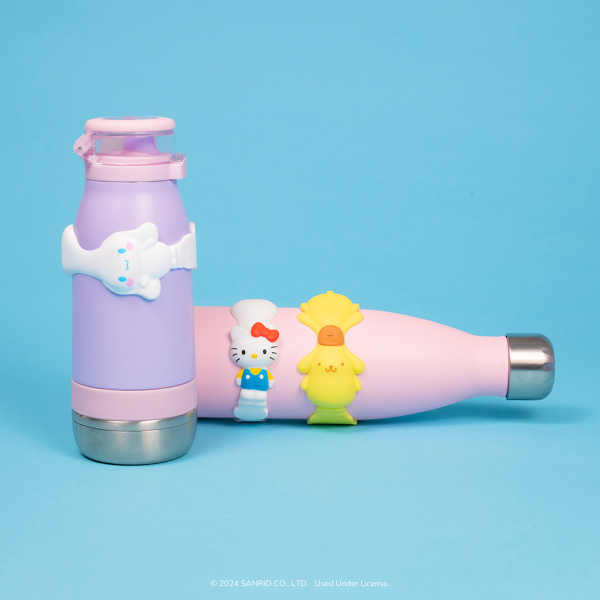 SanrioFigBandsWaterbottles