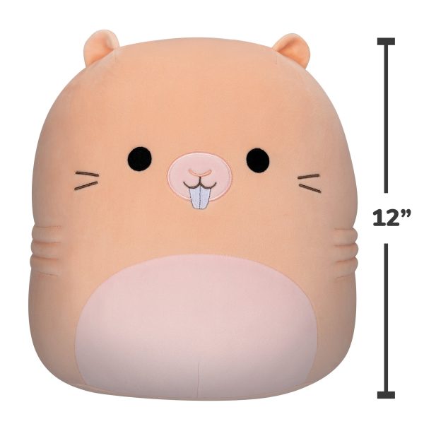 Squishmallows-MediumPlush_12_Squishmallows_-NakedMoleRat-SQCR03049-Front-Scaled-lpr